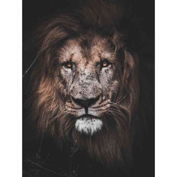 Diamond painting - Machtige leeuw