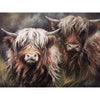 Diamond painting - Schotse hooglanders