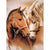 Diamond painting - Twee mooie getekende paarden