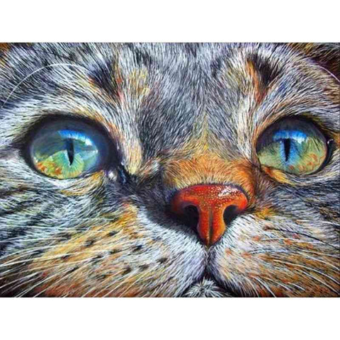 Diamond painting - Kattenogen