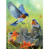 Diamond painting - Roodborstjes