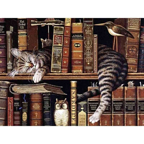 Diamond painting - Slapende kat in boekenkast